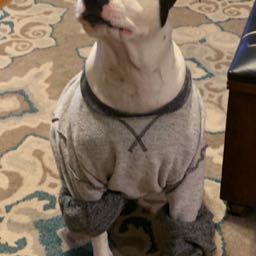 andrew.trout83 on One Bite Pizza App