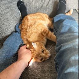 johnny.castaneda on One Bite Pizza App