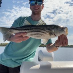 john.fabroski1 on One Bite Pizza App