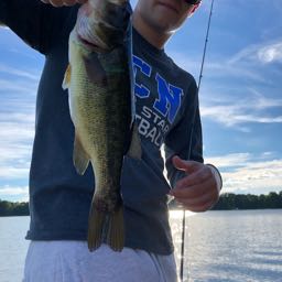 tyler.bruns on One Bite Pizza App