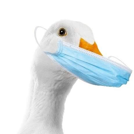 nissan.nefas on One Bite Pizza App