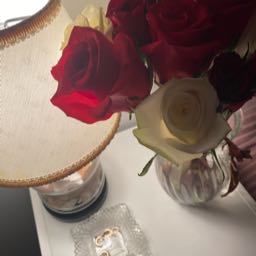 oliviamonoro on One Bite Pizza App