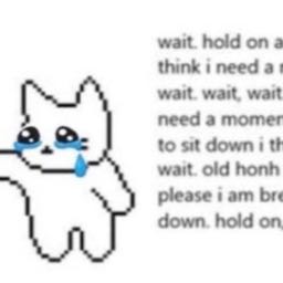 nofloperrybodyknowstherules on One Bite Pizza App