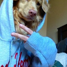 tobiasmcg on One Bite Pizza App