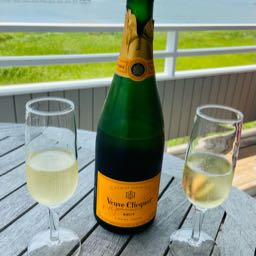 dewey.jerry on One Bite Pizza App