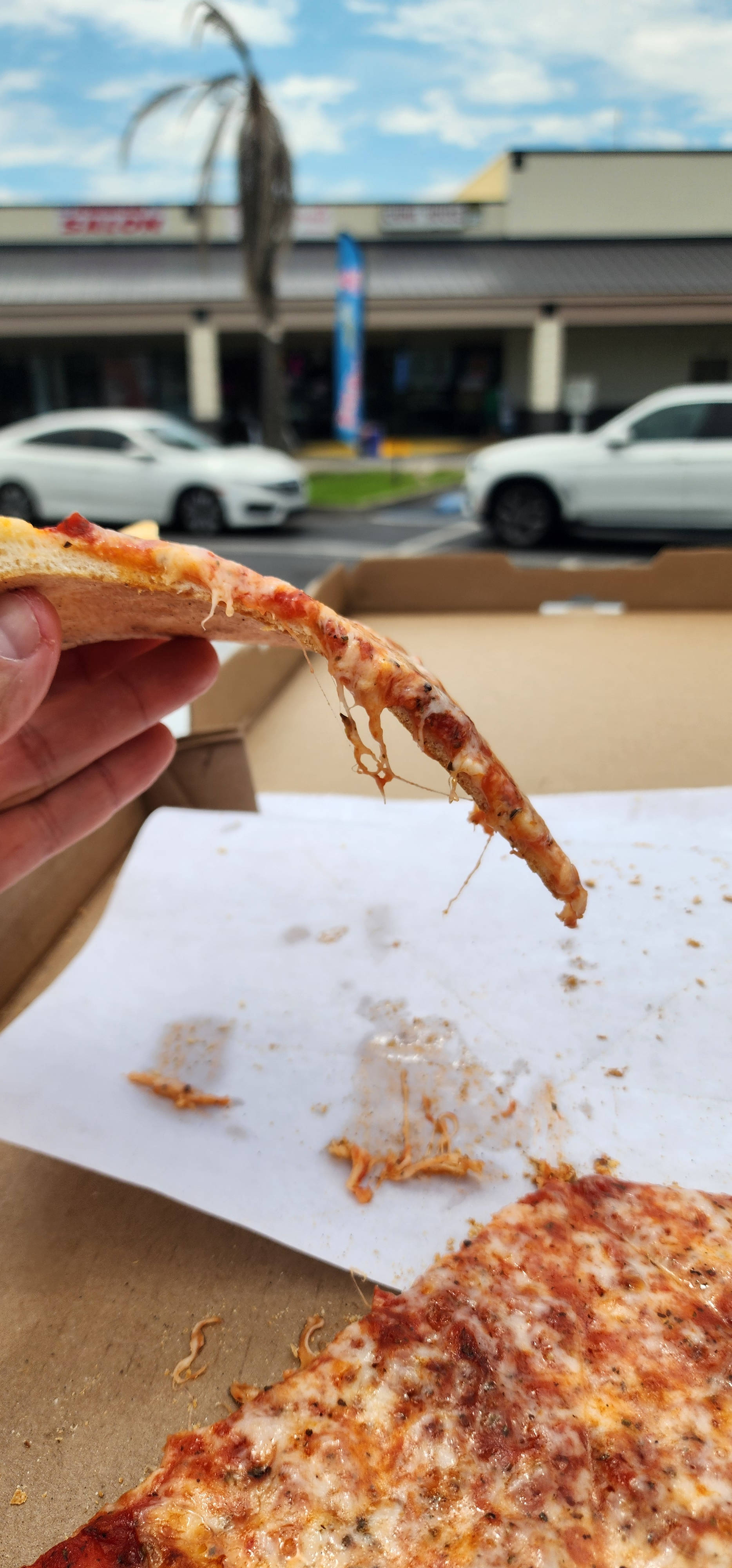 Pizza Review
