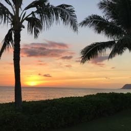 nick.vitulli on One Bite Pizza App