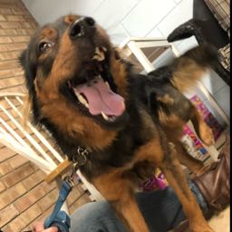 ethan.henke on One Bite Pizza App