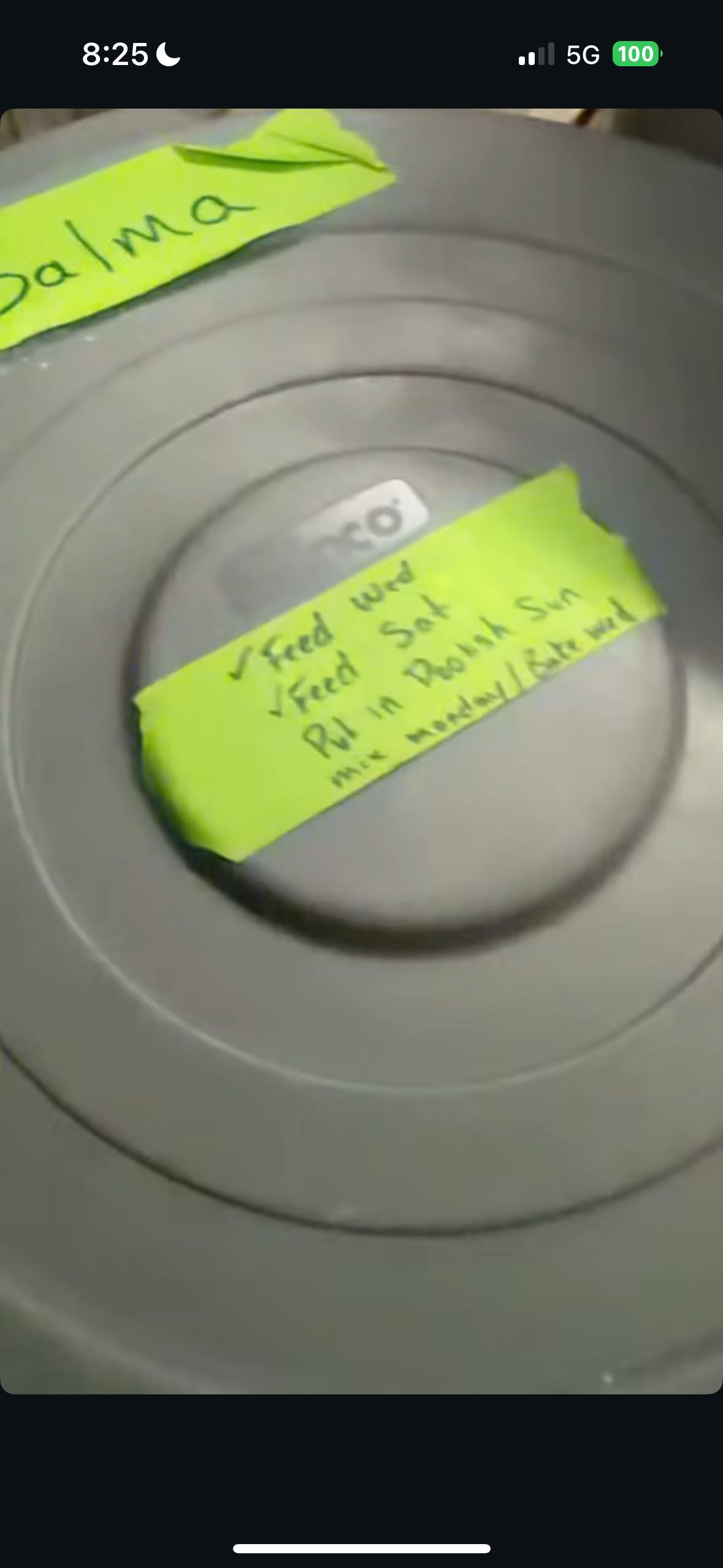 el_chapo on One Bite Pizza App