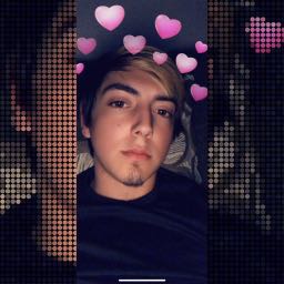 don.pizza on One Bite Pizza App