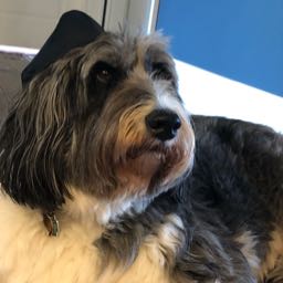 brandon.lefebvre on One Bite Pizza App