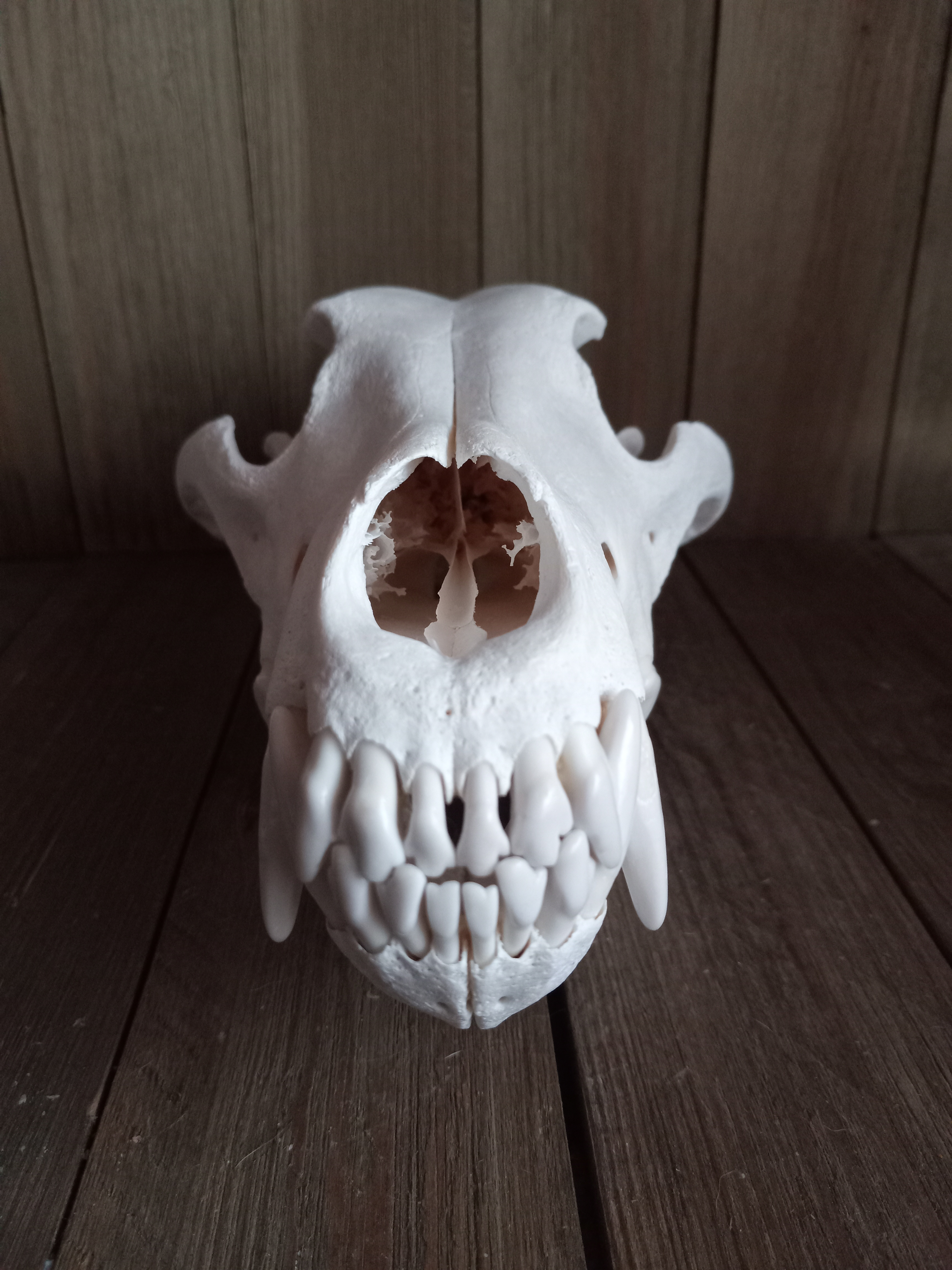 shadowless1 on One Bite Pizza App