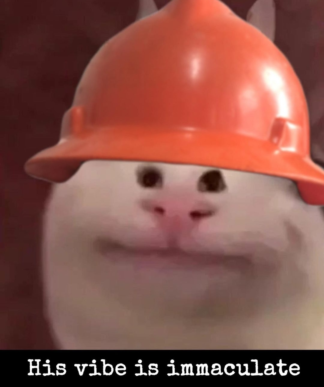 curbjaw on One Bite Pizza App