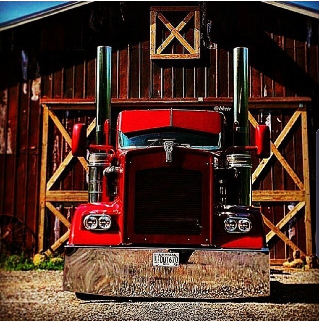 josh.gareau on One Bite Pizza App