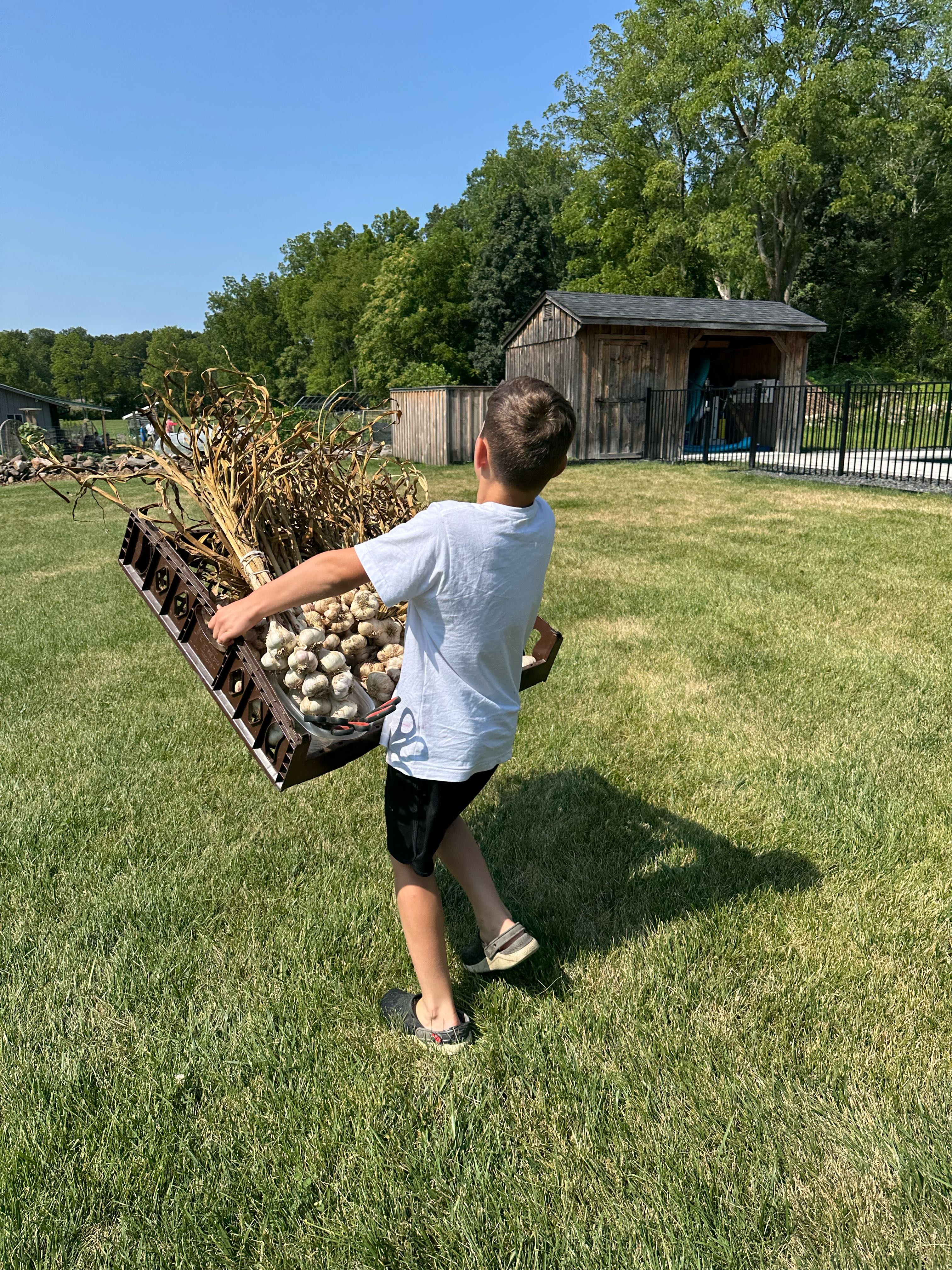 davida.kossar on One Bite Pizza App