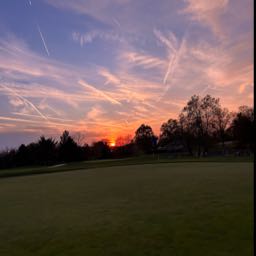 nick.koch3 on One Bite Pizza App