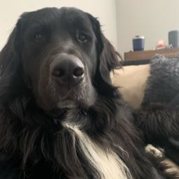 rjc93 on One Bite Pizza App