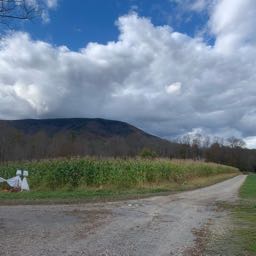 blackbear54 on One Bite Pizza App