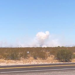 gabe.rod on One Bite Pizza App