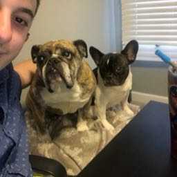 marinobulldogs on One Bite Pizza App