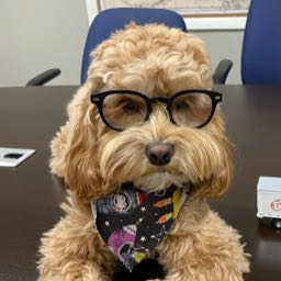 chris.thompson479 on One Bite Pizza App