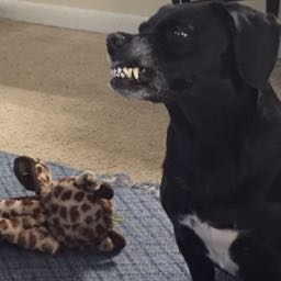 justin.hutchison on One Bite Pizza App