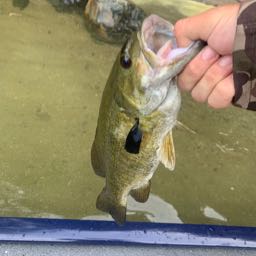 pizzaboss16 on One Bite Pizza App