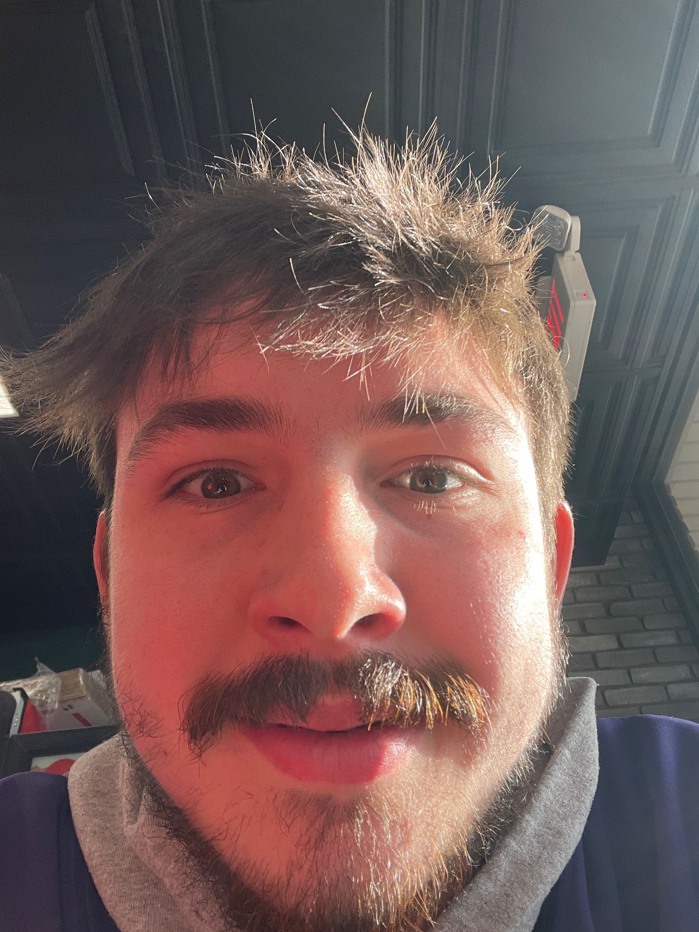 ethan.dale on One Bite Pizza App