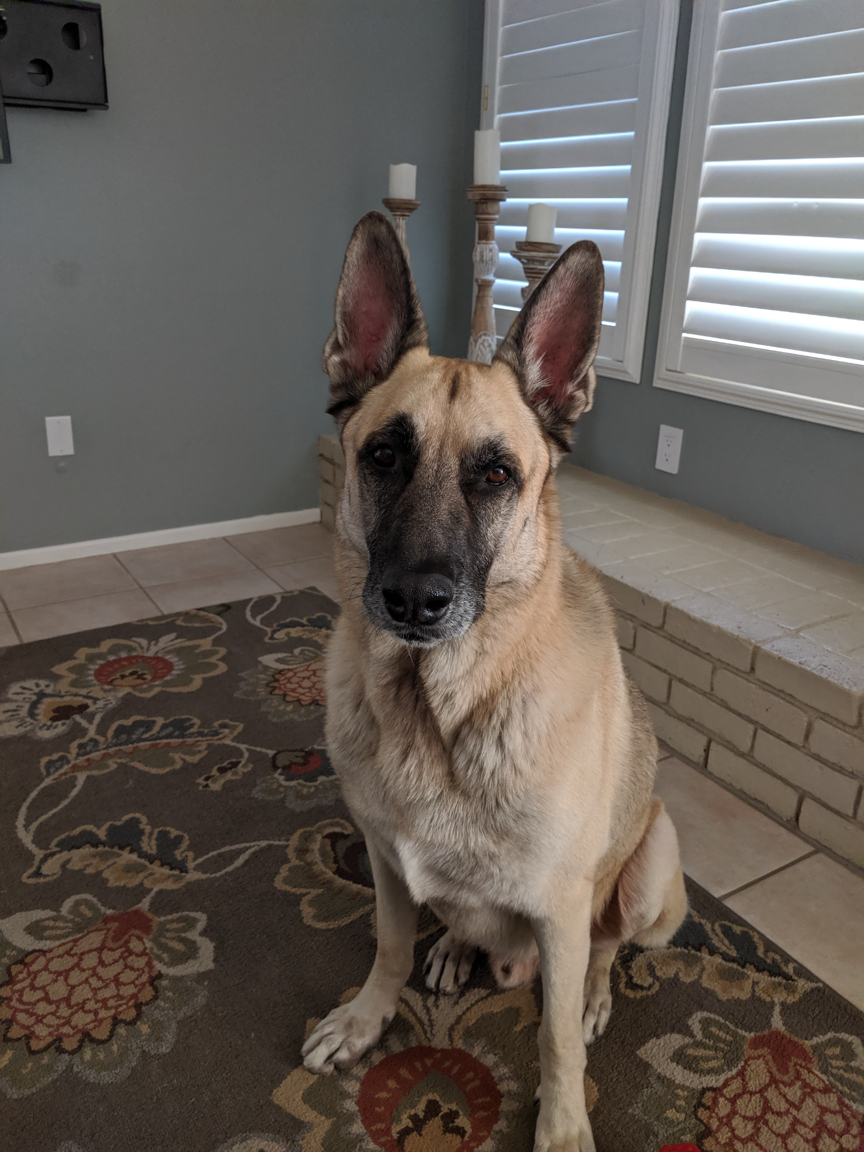 jaron.pope on One Bite Pizza App