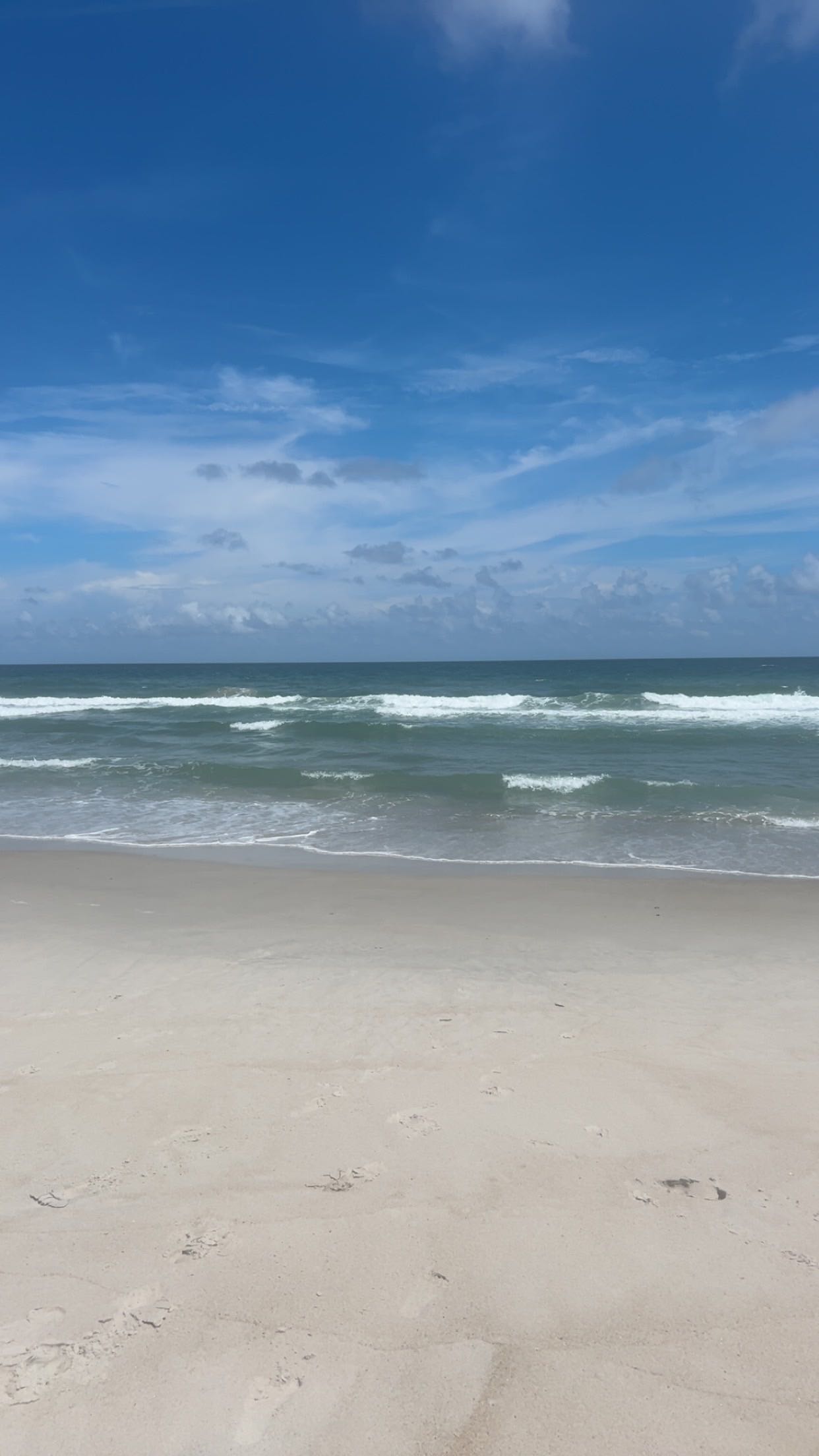 ciao.bella on One Bite Pizza App