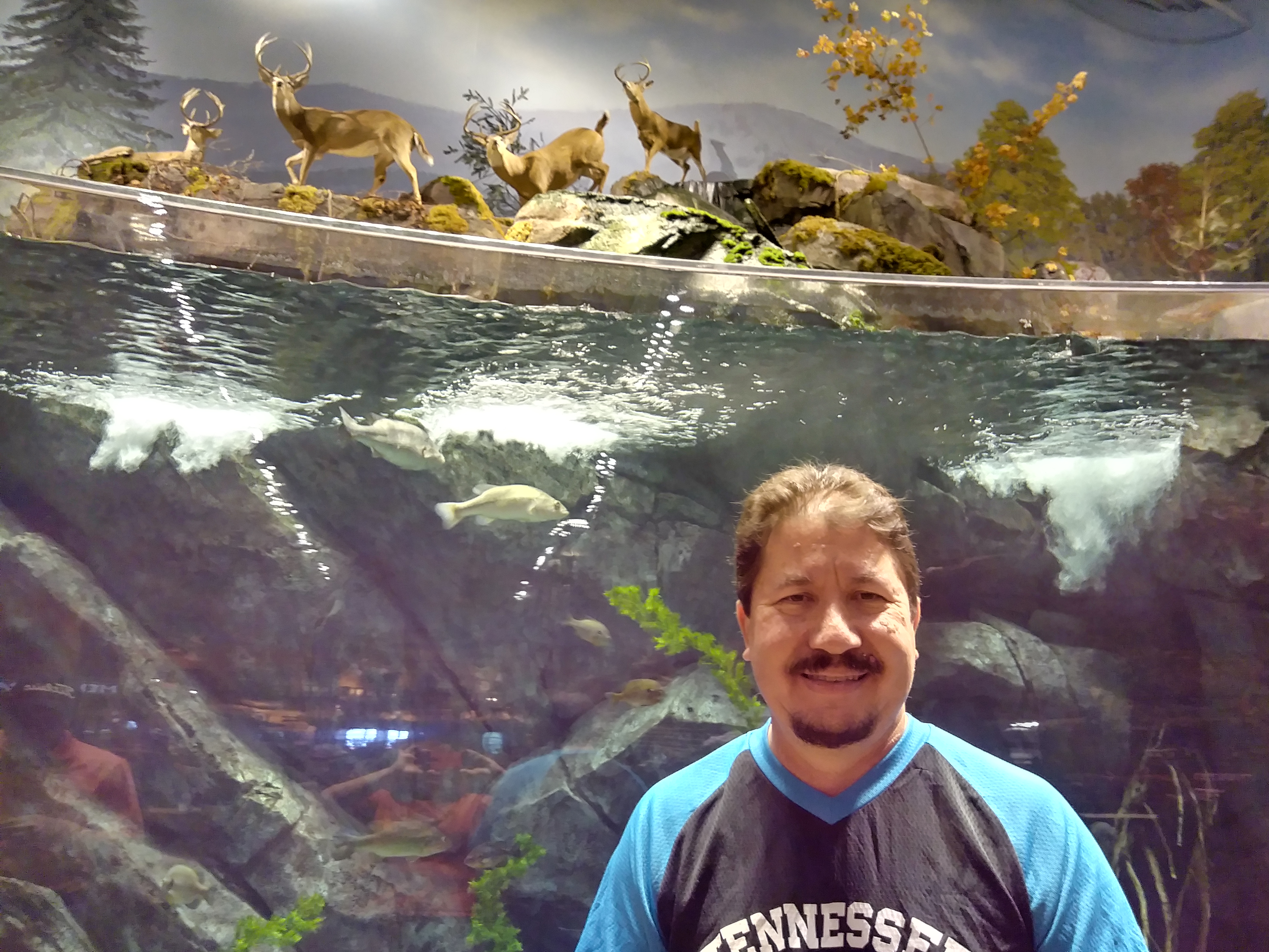 pkelly1010 on One Bite Pizza App