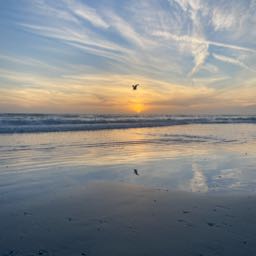 zb14 on One Bite Pizza App