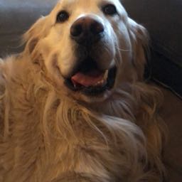 mackf on One Bite Pizza App