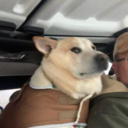 charlie.gilpin on One Bite Pizza App