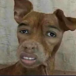 john.cooley2 on One Bite Pizza App