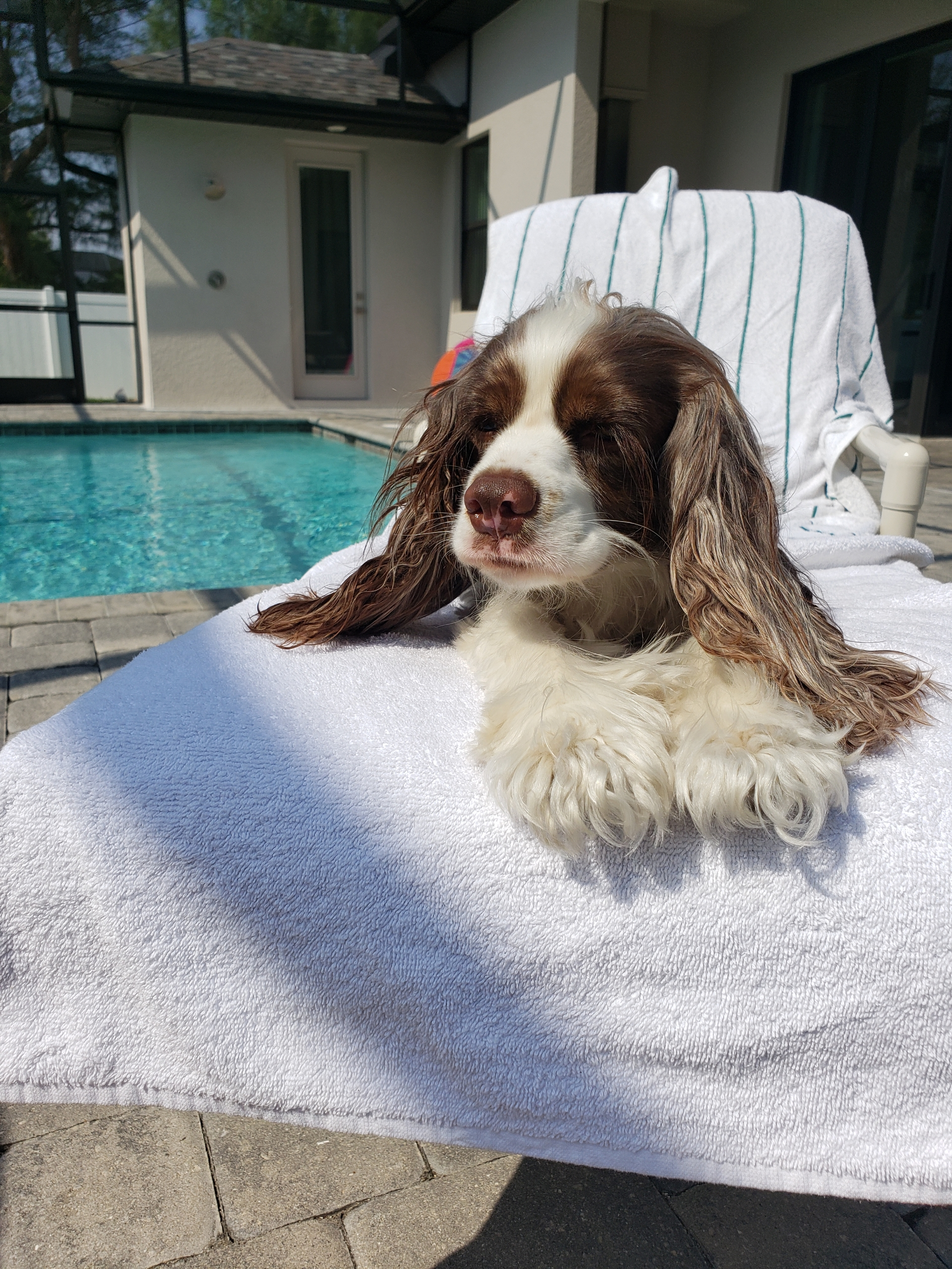 bryce.reilly on One Bite Pizza App