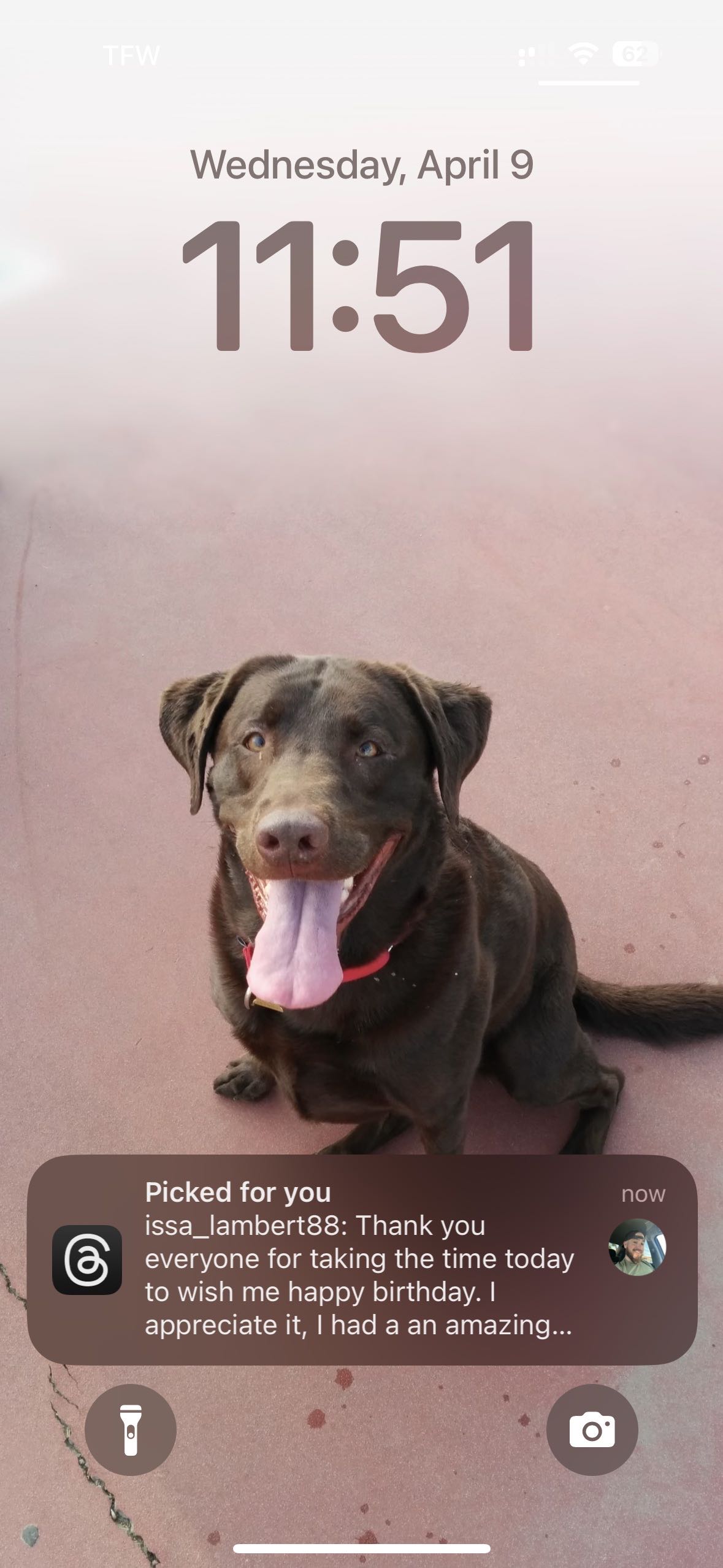 nateee on One Bite Pizza App