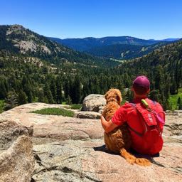 jcheesy on One Bite Pizza App