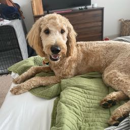 gmoneyswag on One Bite Pizza App