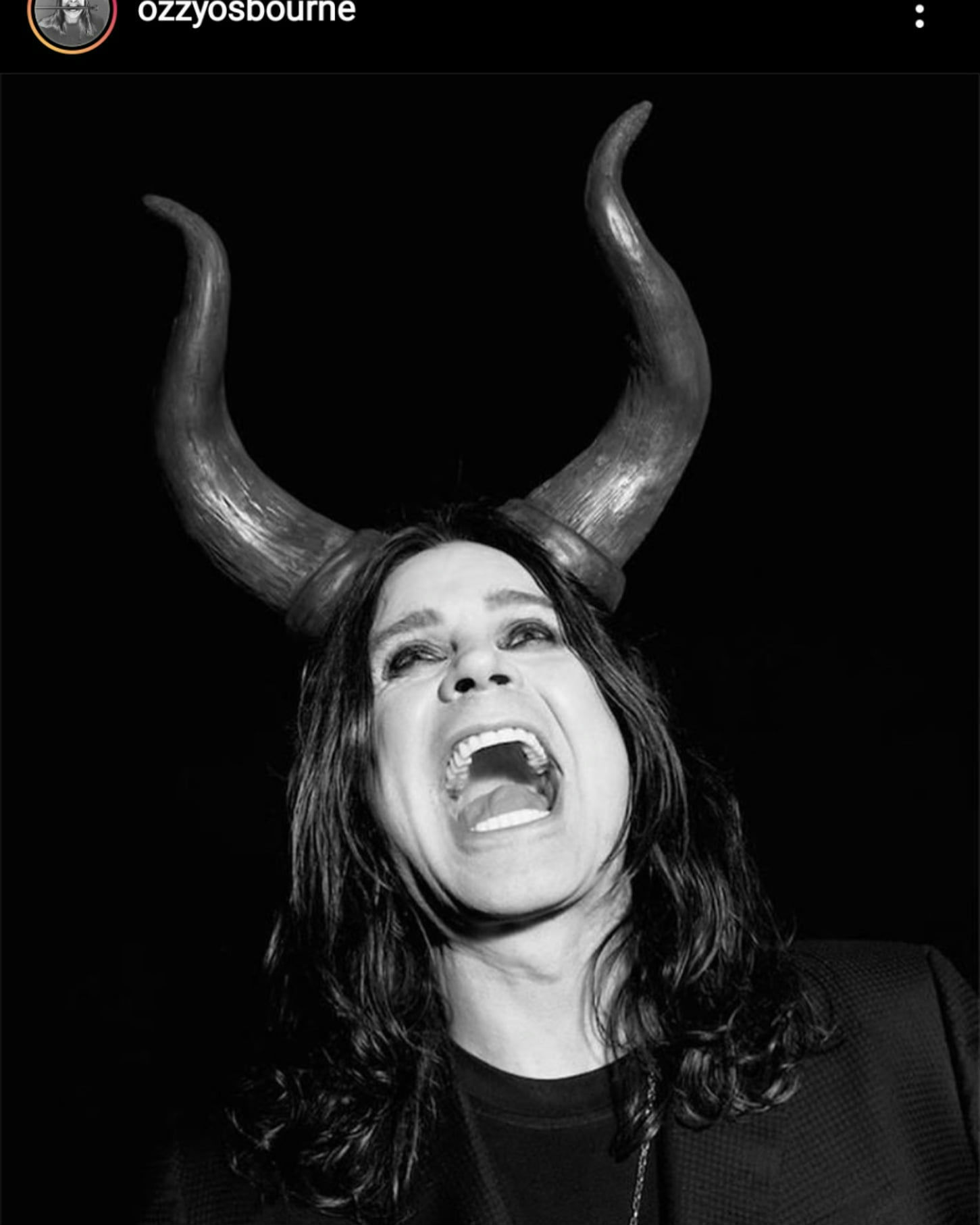 monkee on One Bite Pizza App