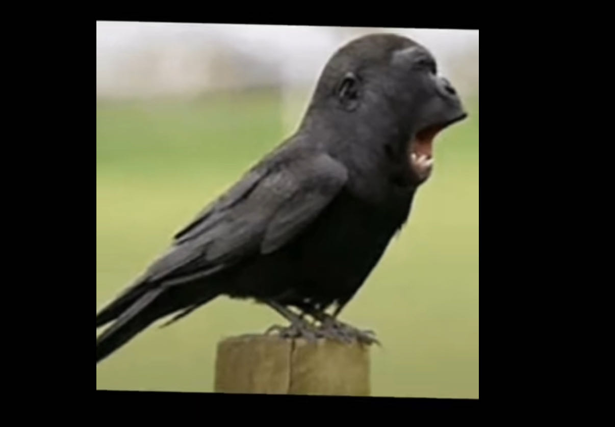 ellie.johns on One Bite Pizza App