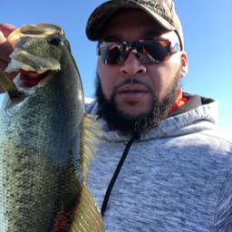 joseph.johnson.sd on One Bite Pizza App