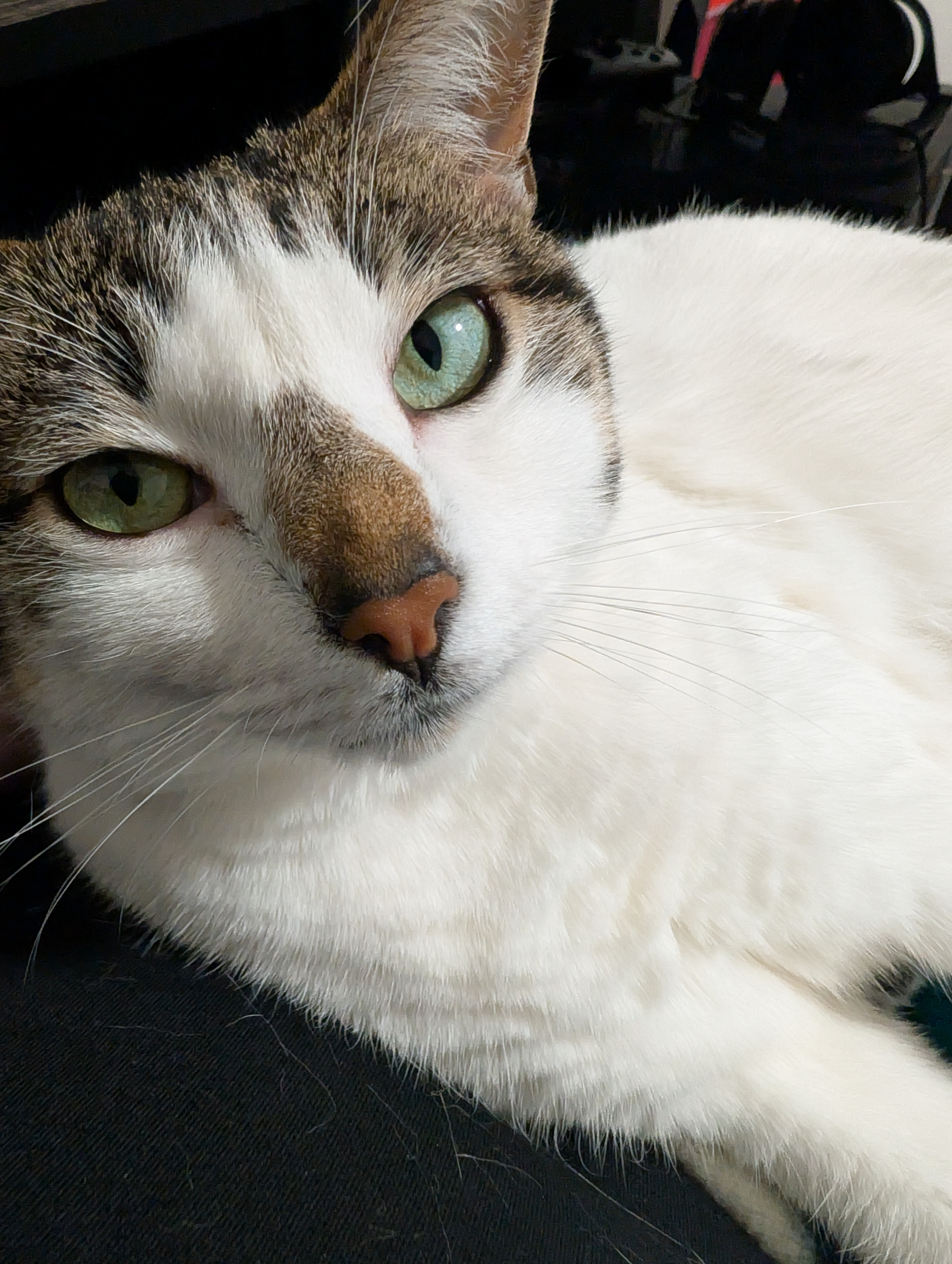 cody.burgess1 on One Bite Pizza App