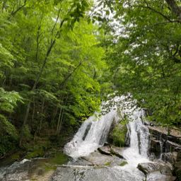 hawks.lvr on One Bite Pizza App