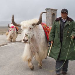 tyler.dodge on One Bite Pizza App