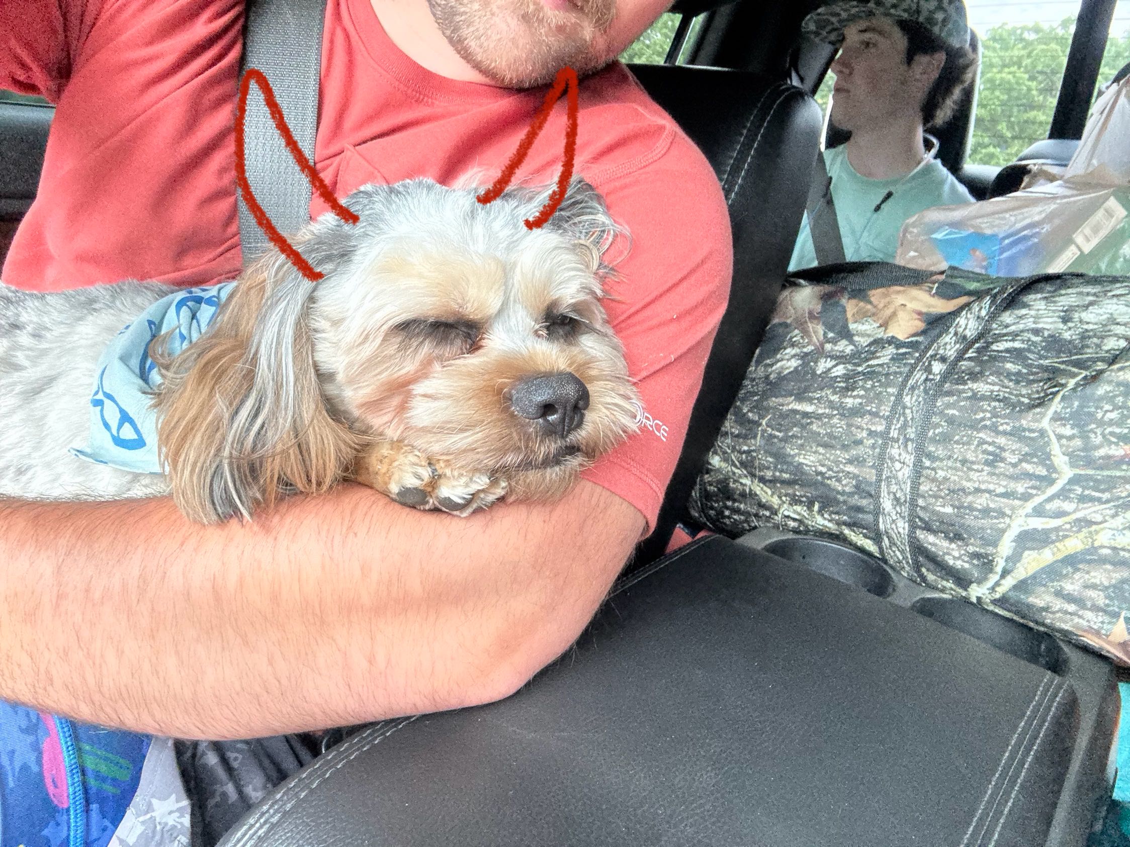 tyler.free2 on One Bite Pizza App