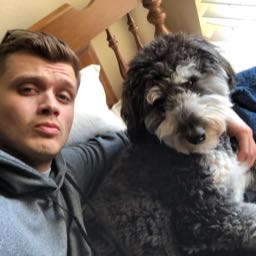 preston.peterson on One Bite Pizza App