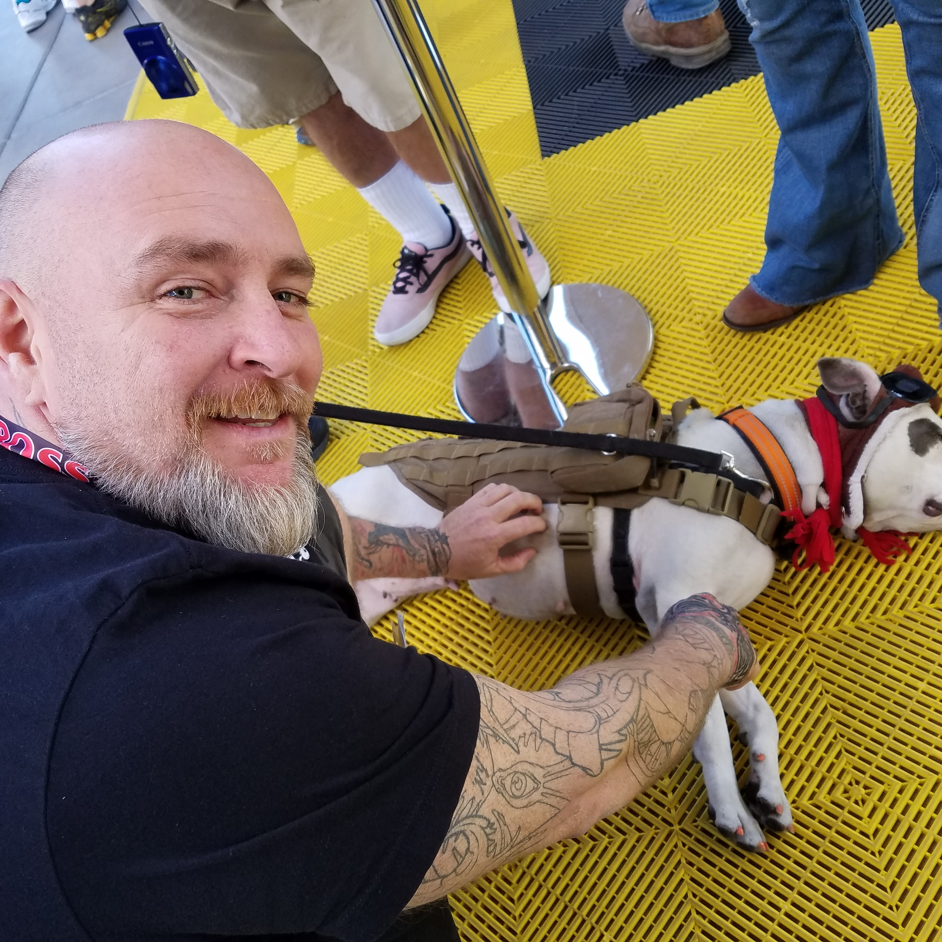 ed.golden on One Bite Pizza App