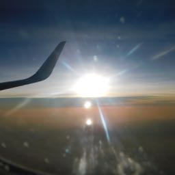 peter.angelo on One Bite Pizza App