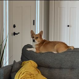 jaredlocke on One Bite Pizza App